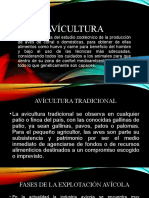 Presentación Avícultura