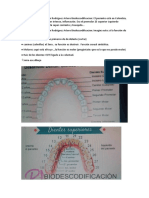 Biodescodificac DIENTES