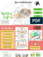 3er Repaso Solemne Neuro