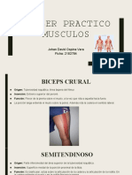 TALLERnPRACTICOnMUSCULOS 30605c77022c6d1