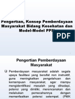 Model PPM