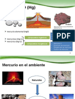 Exposicion Dinamica Ambiental Del Mercur