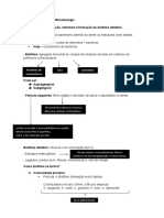 Resumo para AV2 de Microbiologia