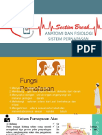 Anfisi Sistem Pernapasan