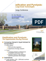 Biomass Gasification and Pyrolysis 2010