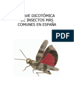 clave-dicotomica-insectos