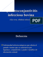 Queratoconjuntivitis Infecciosa Bovina