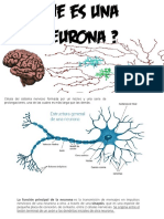 Unidad 2. Funciones Cognitivas Básicas. Atencion.