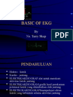 Ws Basic ECG