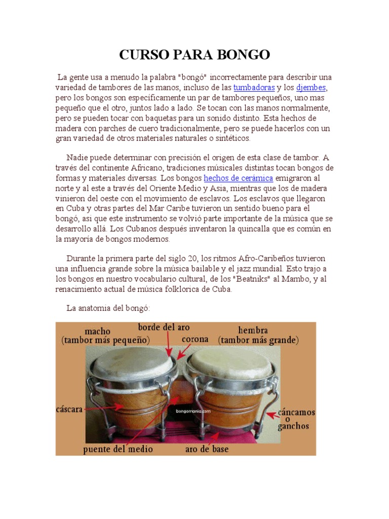 Curso de Tocar Bongos para Principiantes | PDF | Bajo | Ritmo