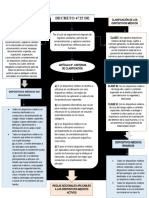 Mapa Conceltual - Decreto 4725 Del 2005