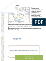 Perkembangan Arsitektur 02-2