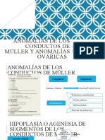 Anomalías conductos Müller  caracteres