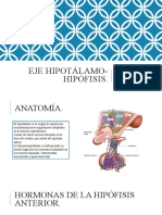 Eje Hipotálamo-Hipófisis