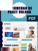 Enfermedad de Paget Vulvar