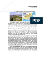 Pengaruh Topografi Terhadap Bentuk Kota Banyuwangi