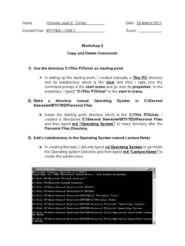 Copy and Delete Commands Workshop | PDF | Directory (Computing ...