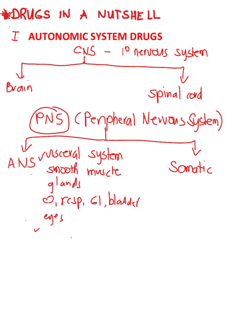 Pharma 3 | PDF