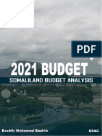 Somaliland Analysis 2021