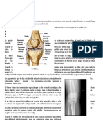 Clase Técnica Radiologica Rayos X Rodilla