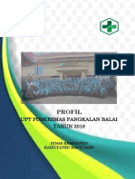 Profil 2018 Puskesmas Pangkalan Balai