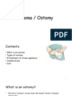 Stoma / Ostomy