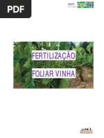 Fertilização Foliar Vinha