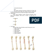 Radiologi Konvensional Trauma Pada Kaki