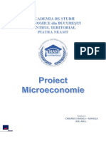 CHIUARIU I BIANCA - MIHAELA Studentă An I, ASE Piatra Neamț, Proiect Microeconomie.