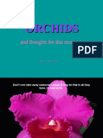 Orchids_and_thoughts