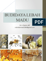 Budidaya Lebah Madu I