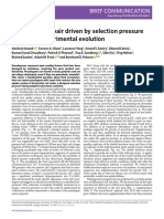 Pseudogene Repair Driven by Selection Pressure Applied in Experimental Evolution - 2019