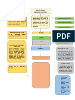 PSICOLOGIA ORGANIZACIONAL MAPA CONSEPTUAL DIVERCIDADES DE LA ORGANIZCION