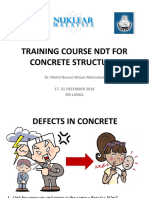l3 - Defects in Concrete