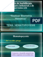 Hematopoyesis