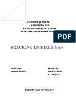 FRACKING EN SHALE GAS
