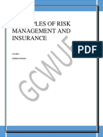 Principles of Risk Management and Insurance