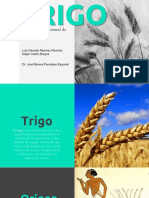 Trigo-Producción Nacional