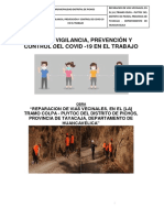 Plan de Vigilancia, Prevencion y Control Collpa - Puytocc