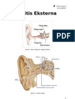 Otitis Eksterna