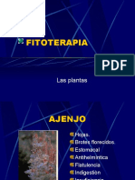 Fitoterapia Las Plantas