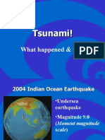 Tsunami!