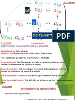 Matrices y Determinantes