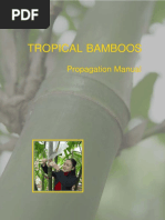 【Thinh Yang 】 Global Priority Bamboo Species Report | PDF | Bamboo | Agriculture