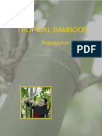 Tropical Bamboo Propagation Manual