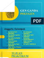 Kelompok 5_Gen Ganda Polygen