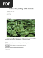 Download Manfaat  bayam bagi tubuh manusia by Yohanna Indah Lestari Sitorus SN50639621 doc pdf