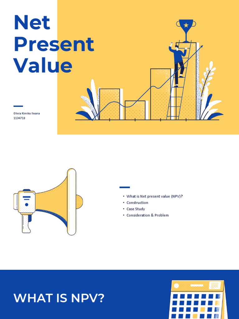 Stream#2 - Assignment Submission Week 12 - Net Present Value | PDF ...