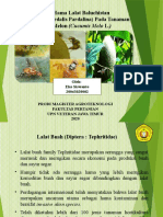 Eko Siswanto_20063020002 Ppt IPM Hama Lalat Buah