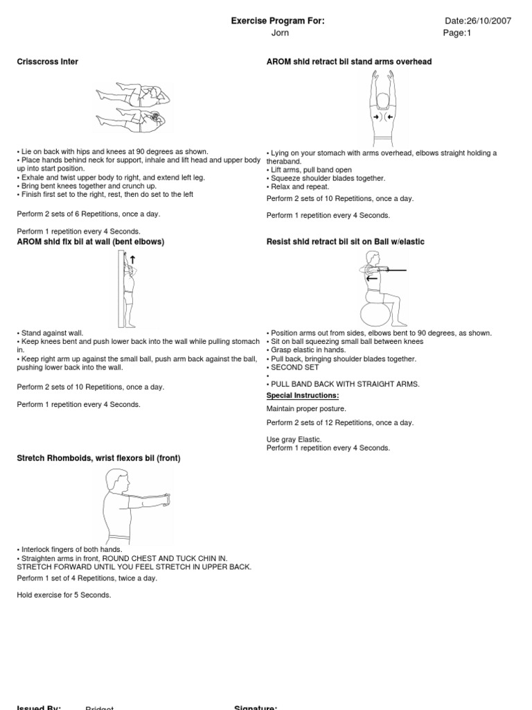 Exercise Program PDF Jorn | PDF | Elbow | Arm
